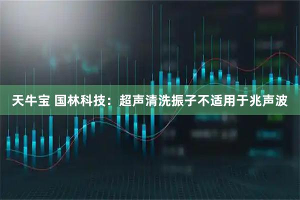 天牛宝 国林科技：超声清洗振子不适用于兆声波