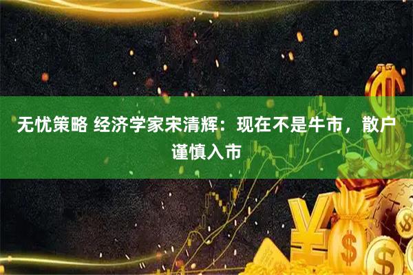 无忧策略 经济学家宋清辉：现在不是牛市，散户谨慎入市